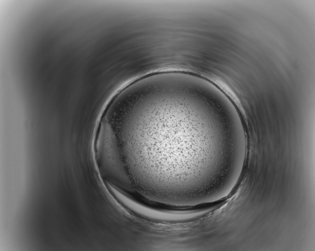 X0000095901197200801181239