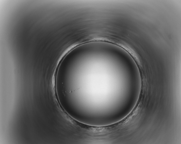 X0000095901198200801181239