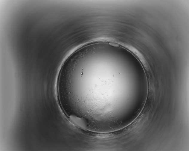 X0000095901199200801181239