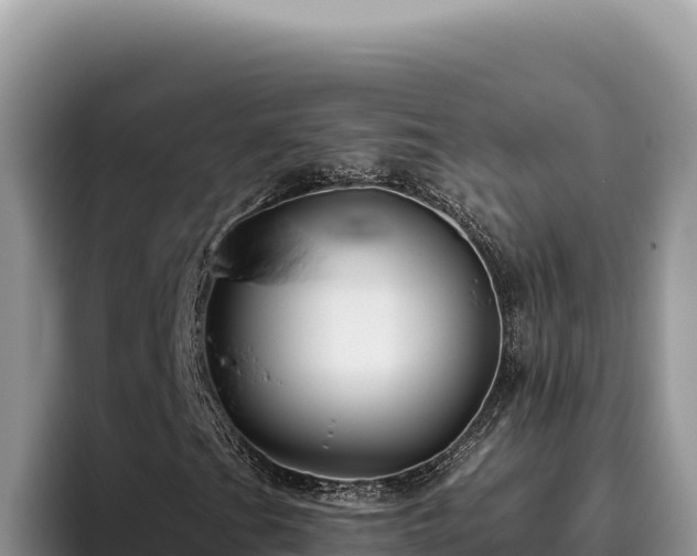 X0000095901201200801181239