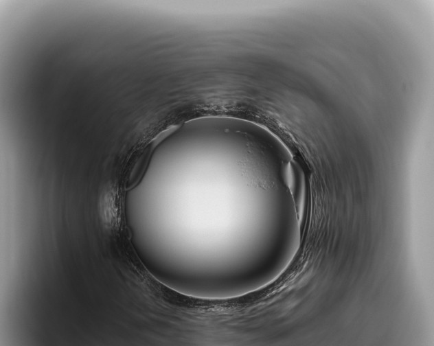 X0000095901202200801181239