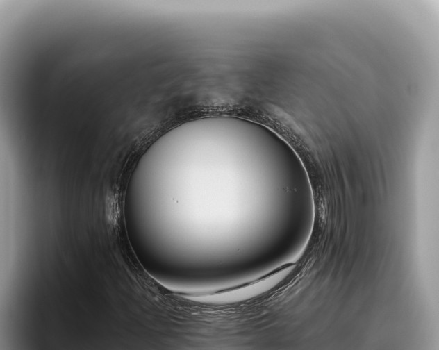 X0000095901204200801181239