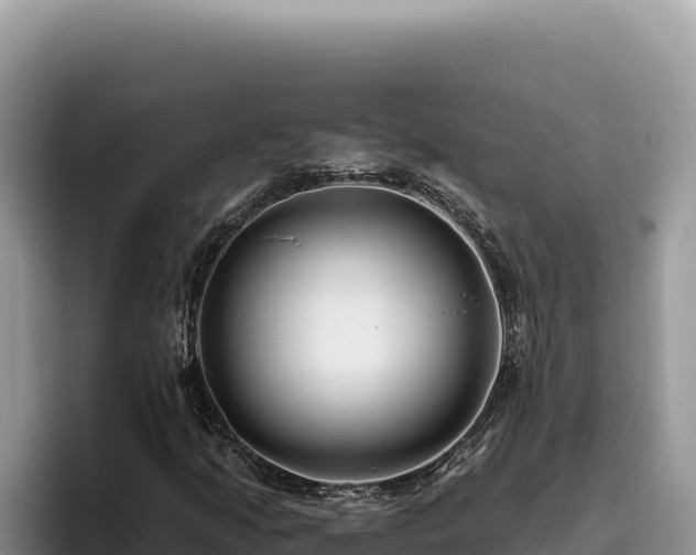 X0000095901205200801181239