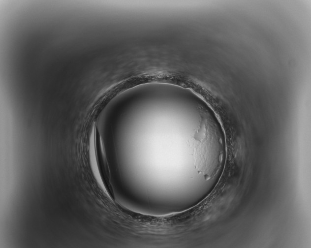 X0000095901206200801181239