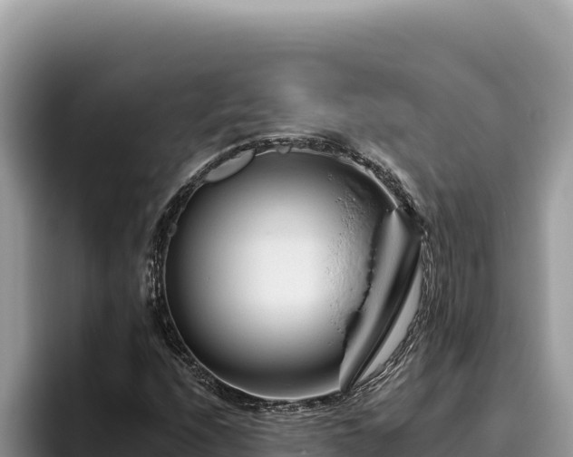 X0000095901208200801181239