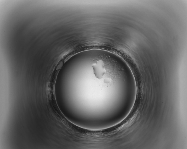 X0000095901210200801181239