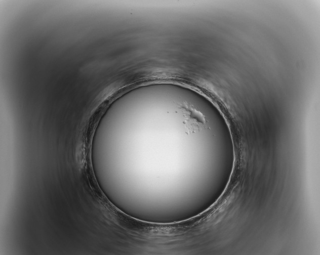 X0000095901211200801181239