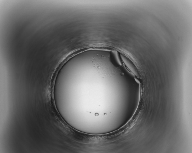 X0000095901212200801181239