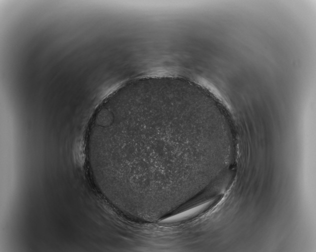 X0000095901213200801181239