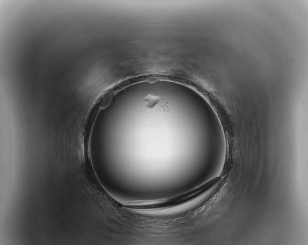 X0000095901214200801181239