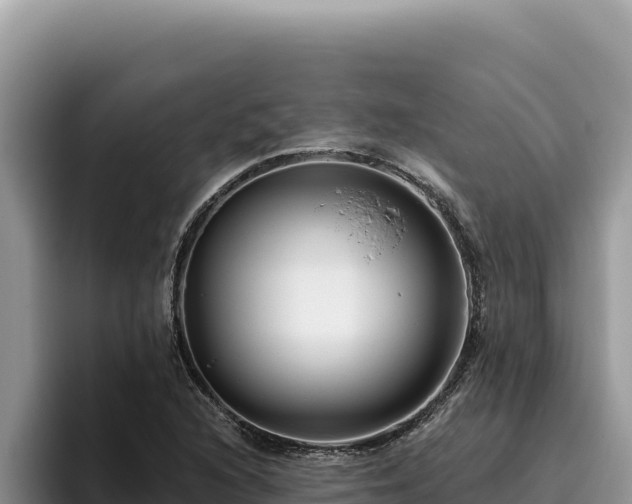 X0000095901216200801181239