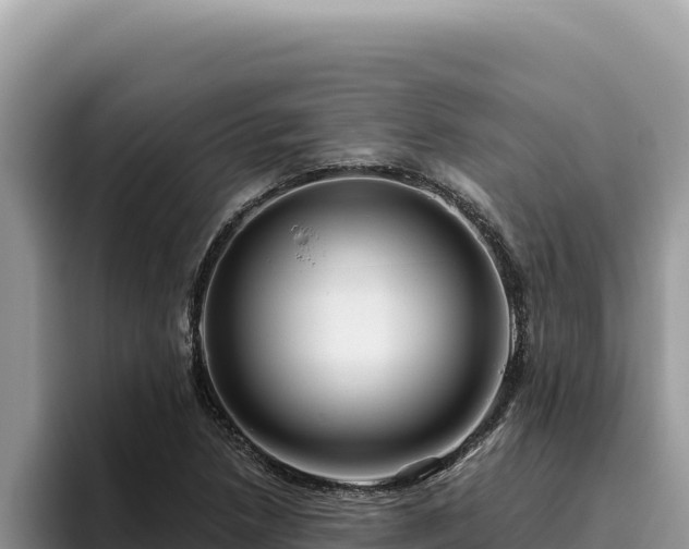 X0000095901218200801181239