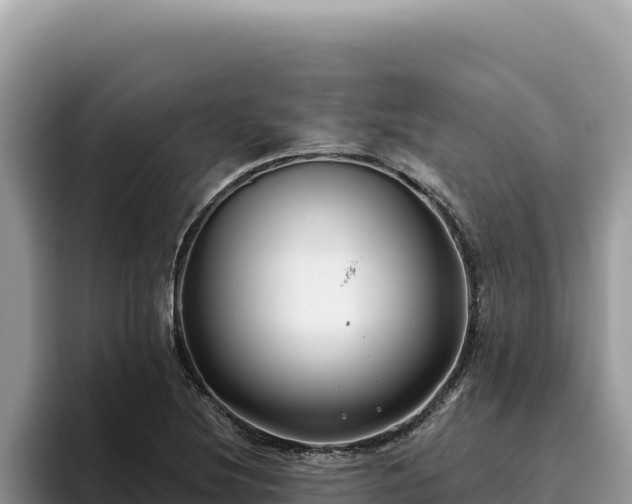 X0000095901220200801181239