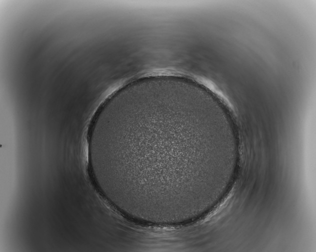 X0000095901221200801181239