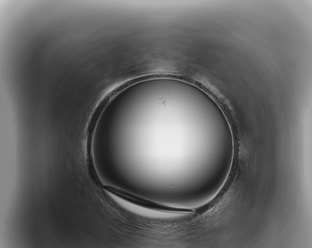 X0000095901222200801181239