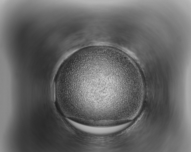 X0000095901223200801181239