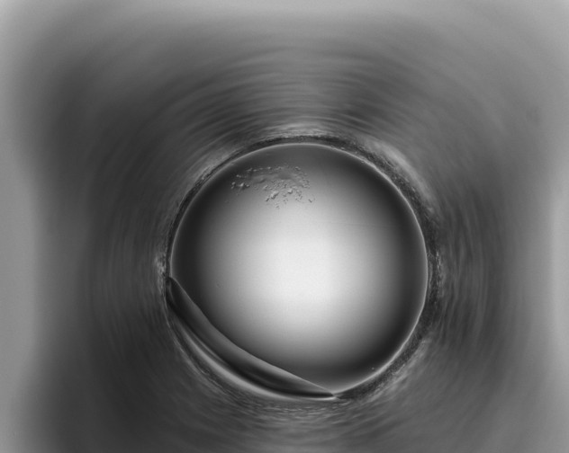 X0000095901225200801181239