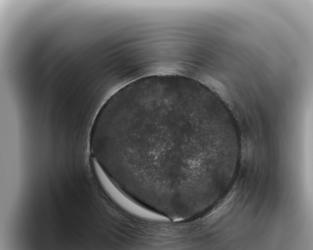 X0000095901226200801181239