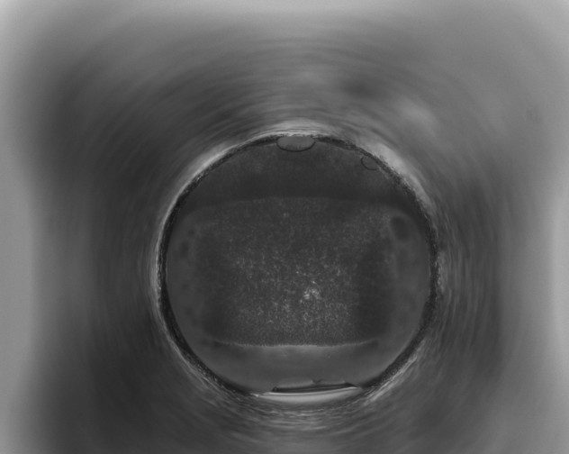 X0000095901229200801181239