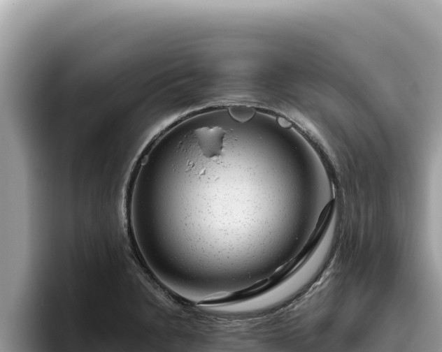 X0000095901230200801181239