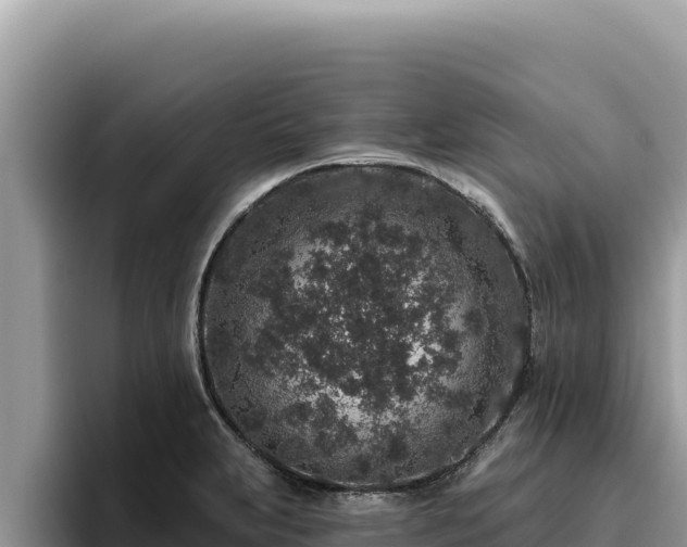 X0000095901231200801181239