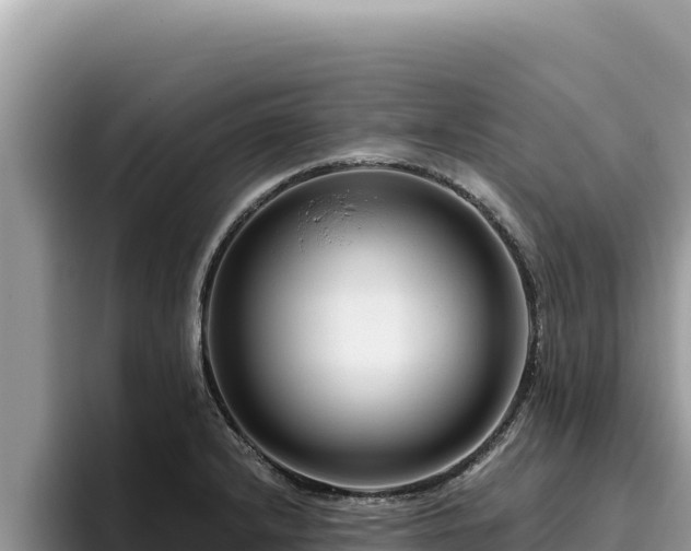 X0000095901232200801181239