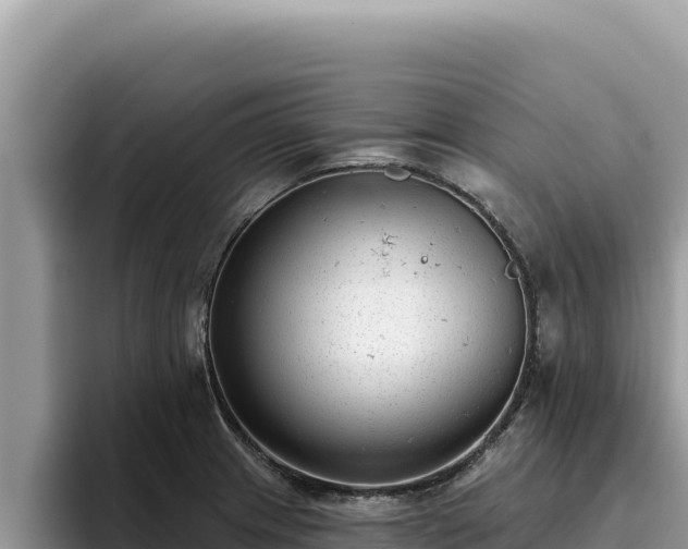 X0000095901233200801181239