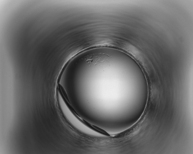 X0000095901234200801181239