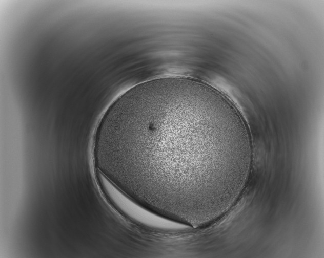 X0000095901235200801181239