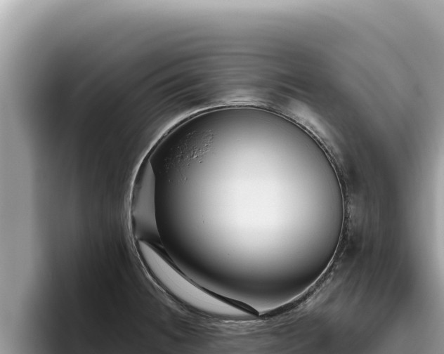 X0000095901236200801181239