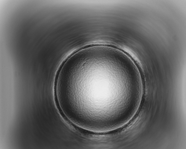 X0000095901237200801181239