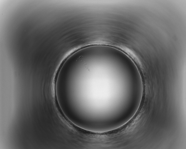 X0000095901238200801181239