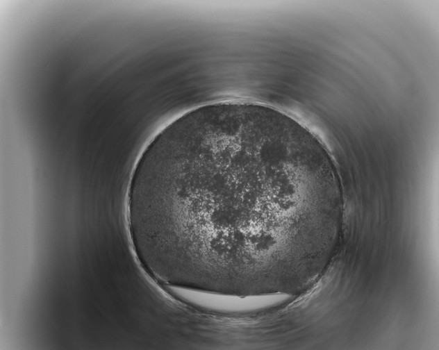 X0000095901239200801181239