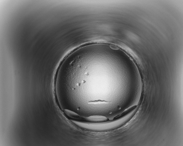 X0000095901240200801181239