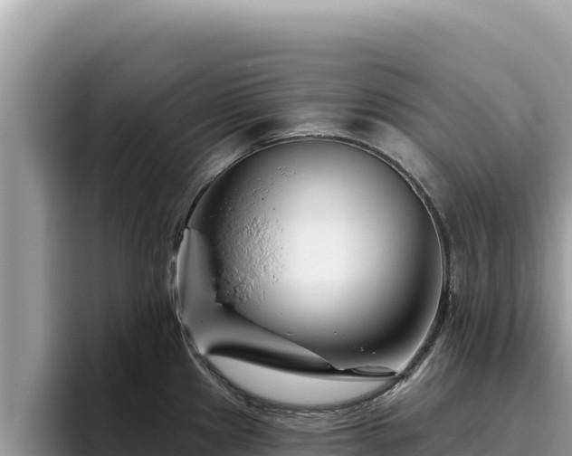 X0000095901241200801181239