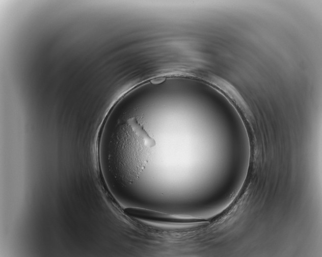 X0000095901242200801181239