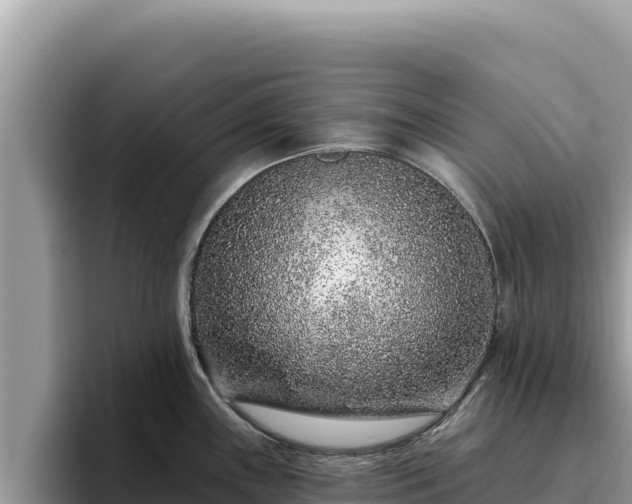 X0000095901243200801181239