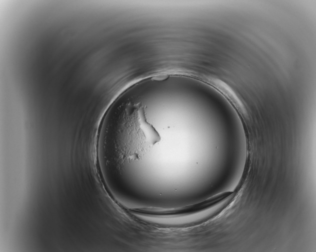 X0000095901244200801181239