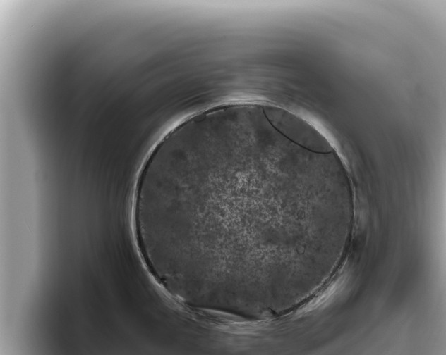 X0000095901245200801181239