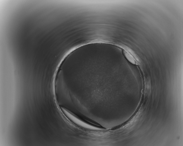 X0000095901246200801181239