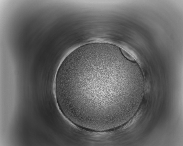 X0000095901247200801181239