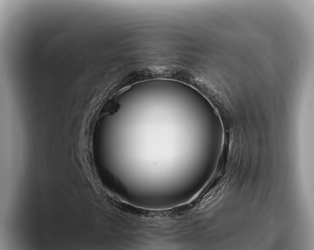 X0000095901249200801181239