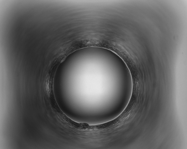 X0000095901250200801181239