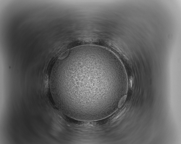 X0000095901251200801181239