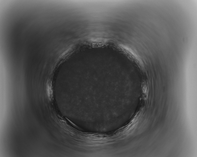 X0000095901252200801181239