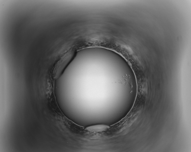 X0000095901253200801181239