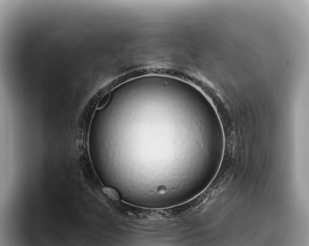 X0000095901255200801181239