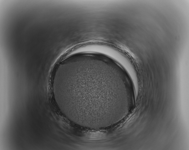 X0000095901256200801181239