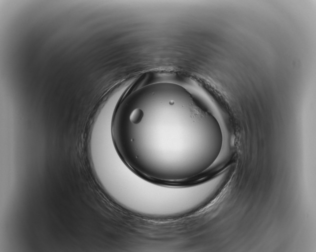 X0000095901257200801181239