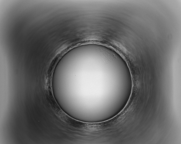 X0000095901258200801181239